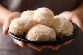 Read more about the article Miért lett ennyire népszerű a Lion’s Mane a szellemi teljesítmény támogatására?